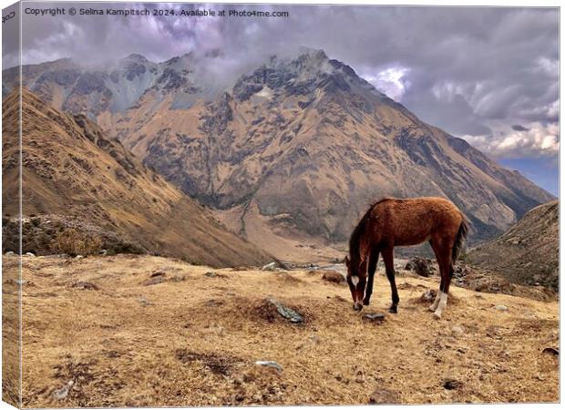 In the peruvian mountains Canvas Print by Selina Kampitsch