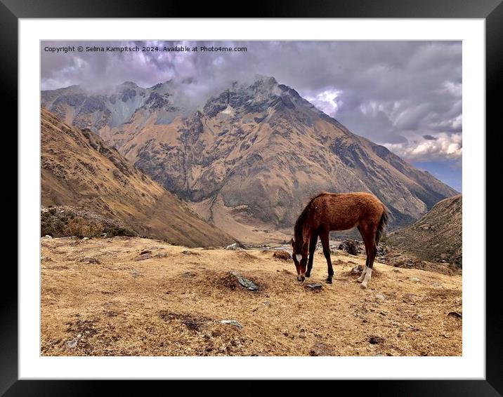 In the peruvian mountains Framed Mounted Print by Selina Kampitsch