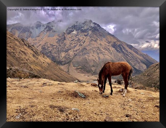 In the peruvian mountains Framed Print by Selina Kampitsch