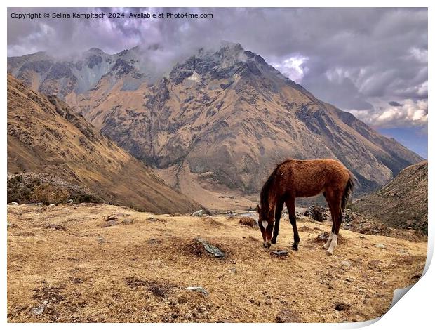 In the peruvian mountains Print by Selina Kampitsch