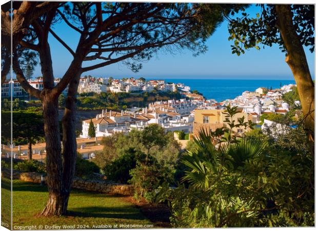 Carvoeiro 7 Canvas Print by Dudley Wood