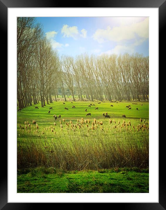 Outdoor grass Framed Mounted Print by Cristina Chilian
