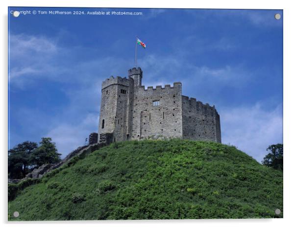 Cardiff Castle Acrylic by Tom McPherson