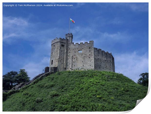 Cardiff Castle Print by Tom McPherson