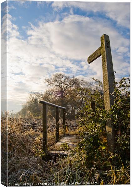 Frosted Path Canvas Print by Nigel Bangert