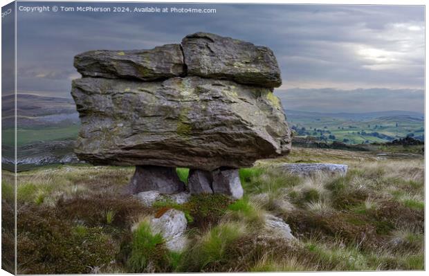 Norber Erratics Canvas Print by Tom McPherson