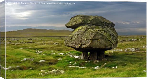 Norber Erratics Canvas Print by Tom McPherson