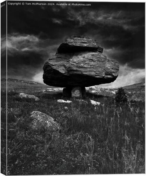 Norber Erratics Canvas Print by Tom McPherson