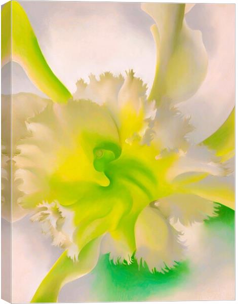 Georgia OKeeffe - An Orchid. 1941 Canvas Print by Welliam Store