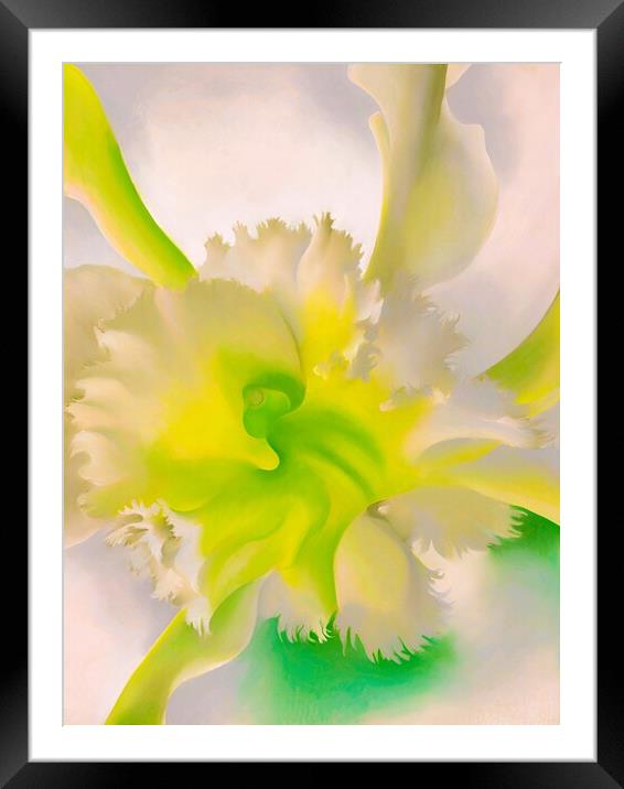 Georgia OKeeffe - An Orchid. 1941 Framed Mounted Print by Welliam Store