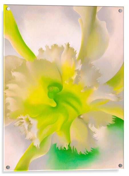 Georgia OKeeffe - An Orchid. 1941 Acrylic by Welliam Store