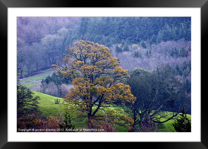 Autumn colours in Somerset Framed Mounted Print by Gordon Dimmer