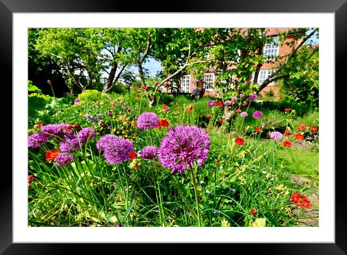 English Country Garden Flower Display   Framed Mounted Print by Alice Rose Lenton