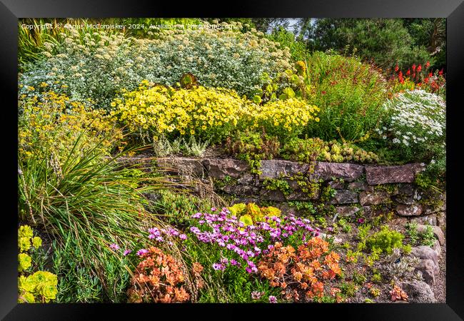 Summer flowers, Inverewe Garden, Poolewe, Scotland Framed Print by Angus McComiskey