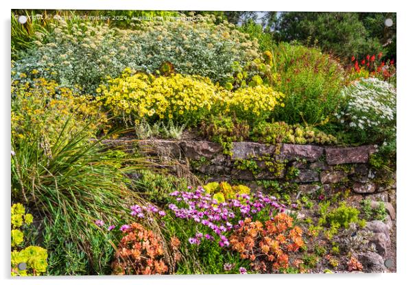 Summer flowers, Inverewe Garden, Poolewe, Scotland Acrylic by Angus McComiskey