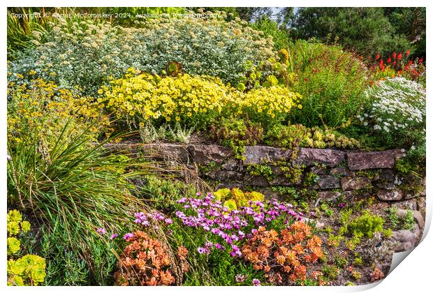 Summer flowers, Inverewe Garden, Poolewe, Scotland Print by Angus McComiskey
