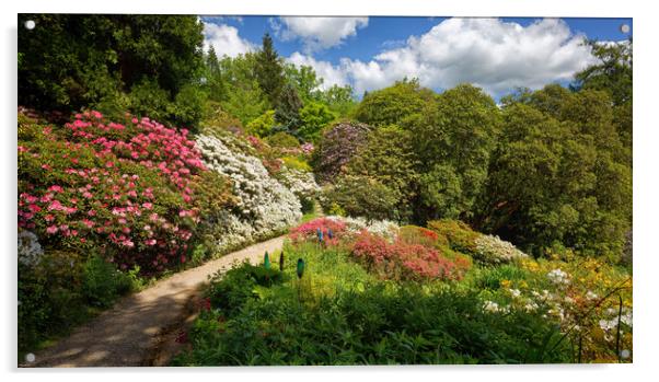 Leonardslee Lakes and Gardens Horsham Sussex Acrylic by John Gilham