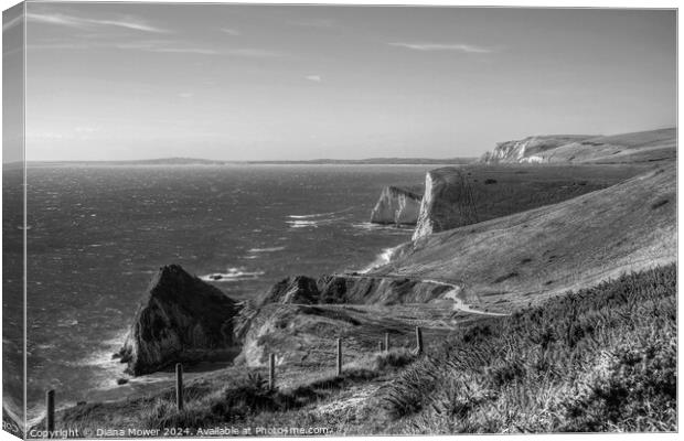  Jurassic Coastline  in Black and white Canvas Print by Diana Mower
