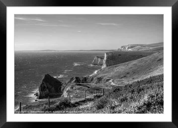  Jurassic Coastline  in Black and white Framed Mounted Print by Diana Mower