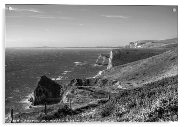  Jurassic Coastline  in Black and white Acrylic by Diana Mower