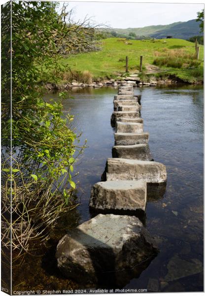 River Rothay Stepping Stones Canvas Print by Stephen Read