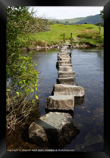 River Rothay Stepping Stones Framed Print by Stephen Read