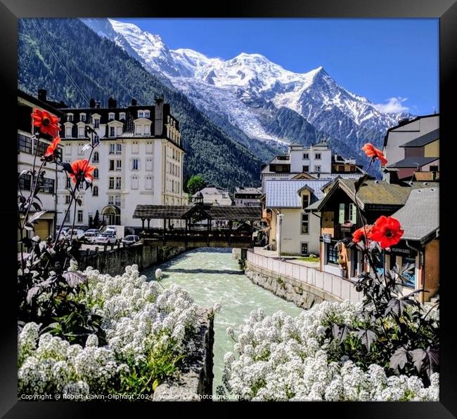 Flowers, river, and snowy Alps Framed Print by Robert Galvin-Oliphant