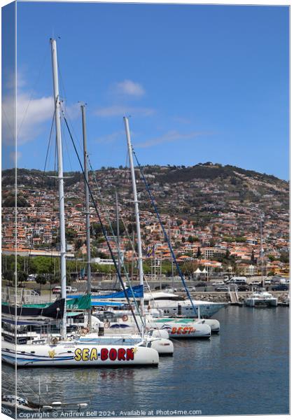 Catamarans, Funchal, Mareira Canvas Print by Andrew Bell