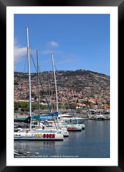 Catamarans, Funchal, Mareira Framed Mounted Print by Andrew Bell