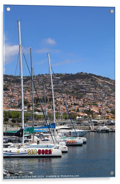 Catamarans, Funchal, Mareira Acrylic by Andrew Bell