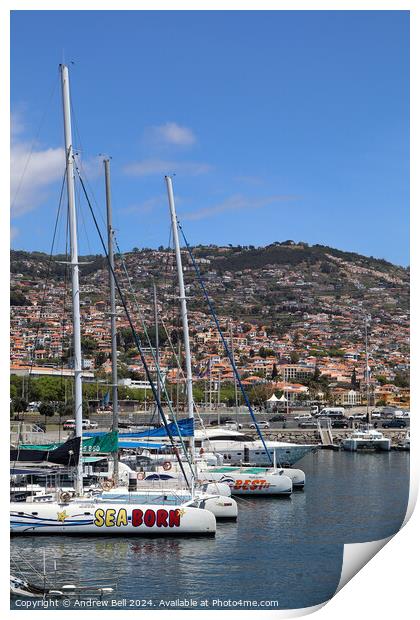 Catamarans, Funchal, Mareira Print by Andrew Bell