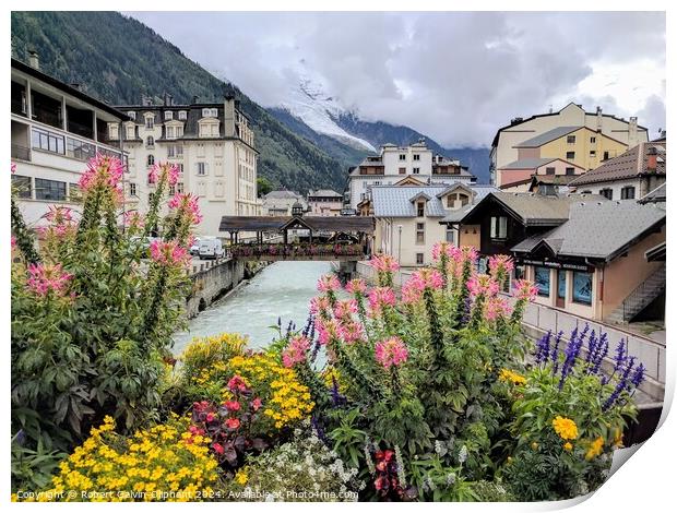 Alpine scene with flowers, river and glacier  Print by Robert Galvin-Oliphant