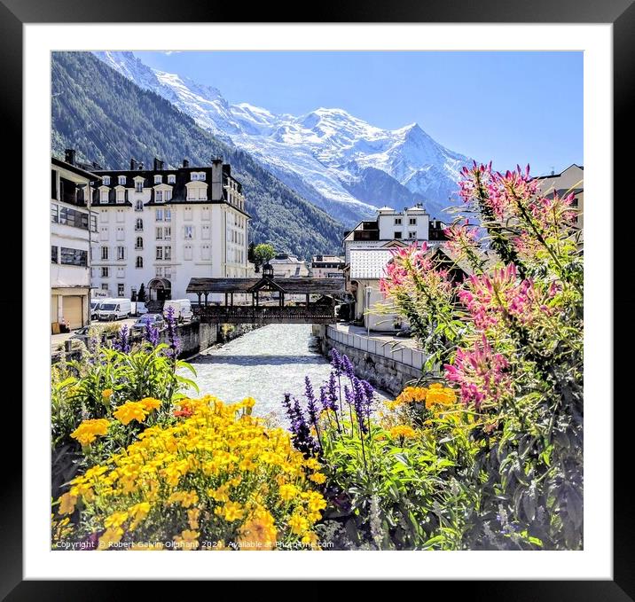 Flowers, Arve river, French Alps  Framed Mounted Print by Robert Galvin-Oliphant