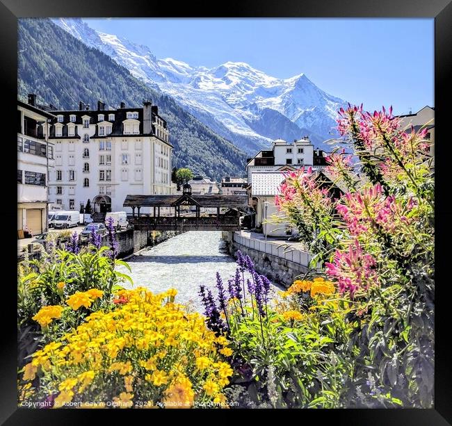 Flowers, Arve river, French Alps  Framed Print by Robert Galvin-Oliphant
