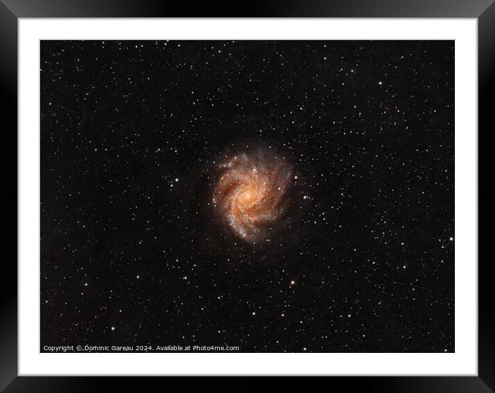 The Fireworks Galaxy Framed Mounted Print by Dominic Gareau