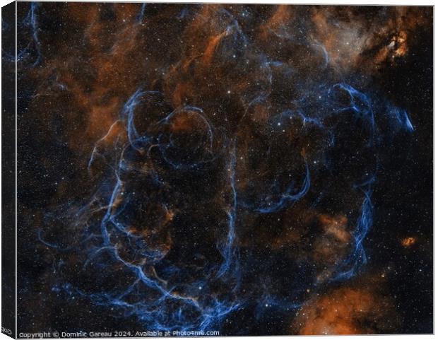  Vela Supernova Remnant Canvas Print by Dominic Gareau