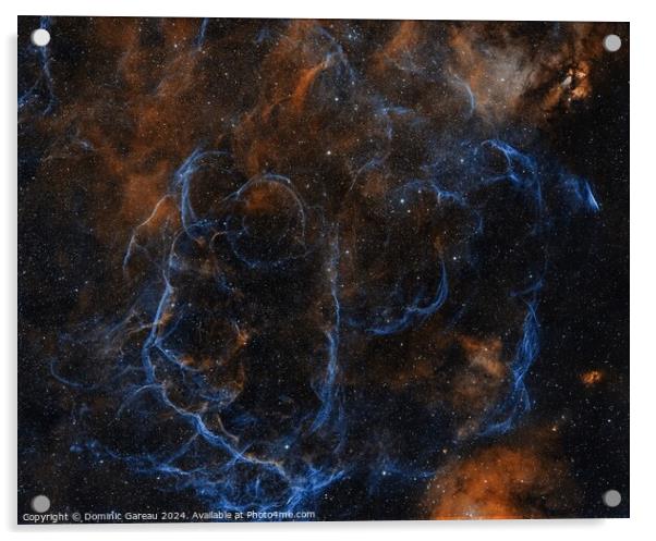  Vela Supernova Remnant Acrylic by Dominic Gareau