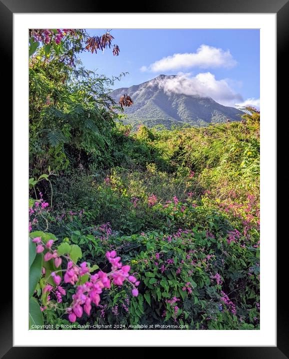 Pink flowers and dormant volcano  Framed Mounted Print by Robert Galvin-Oliphant
