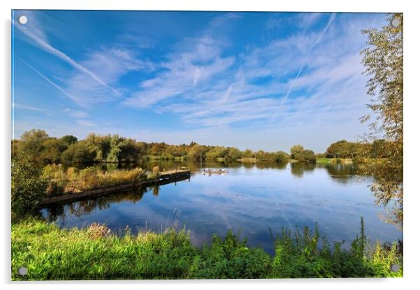 Tranquil Lake Landscape, Kingsbury Water Park Acrylic by Alice Rose Lenton