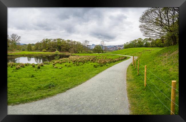 Pathway alongside the River Brathay Framed Print by Jason Wells