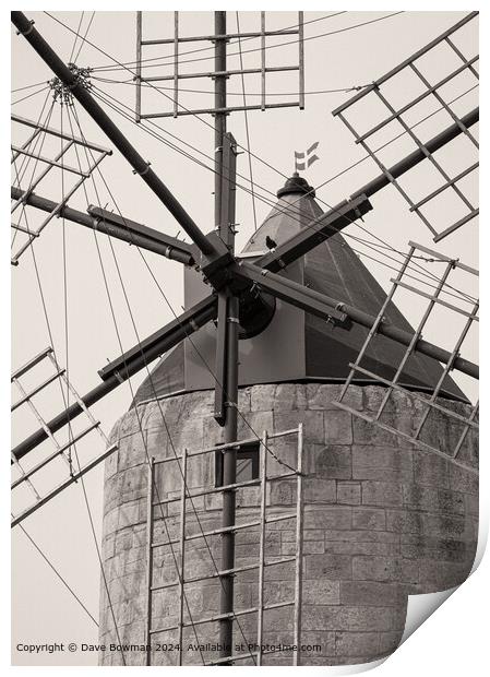 Maltese Windmill Print by Dave Bowman