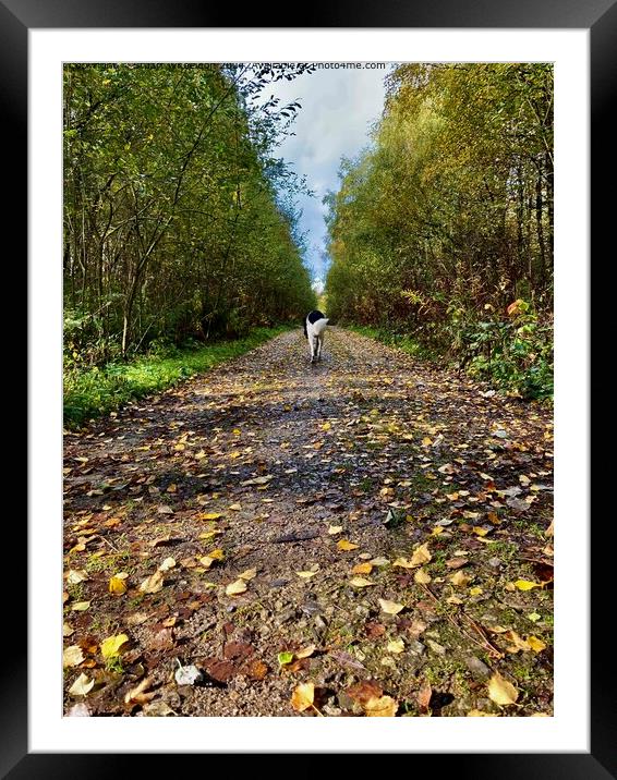 Cromford Moor Autumn Landscape Framed Mounted Print by Stuart Wheeldon
