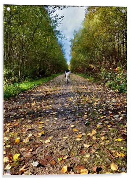 Cromford Moor Autumn Landscape Acrylic by Stuart Wheeldon