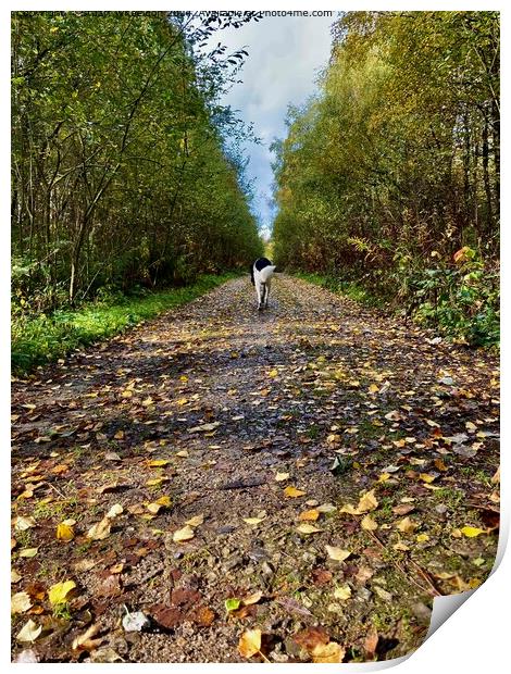 Cromford Moor Autumn Landscape Print by Stuart Wheeldon