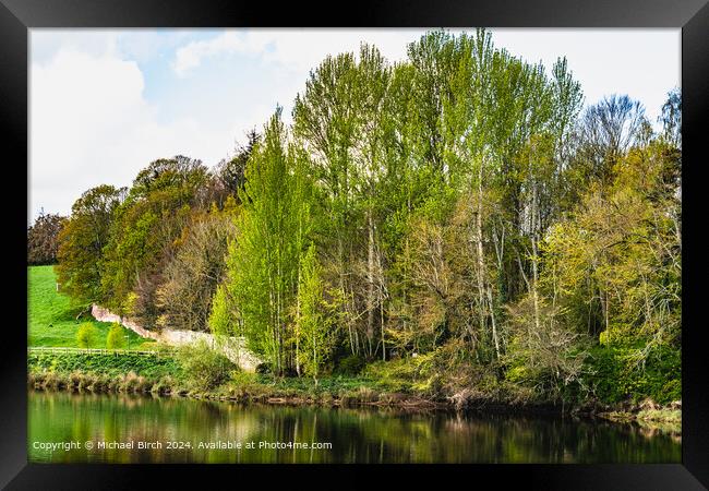 River Tweed Reflections Landscape Framed Print by Michael Birch