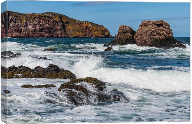 St Abbs Waves and Rocks Canvas Print by Michael Birch