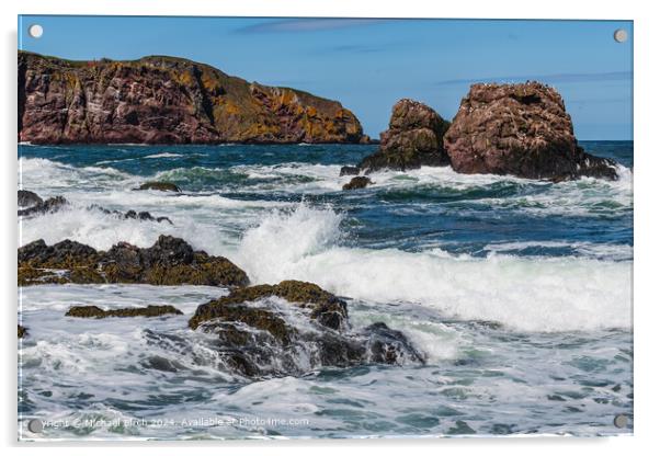 St Abbs Waves and Rocks Acrylic by Michael Birch