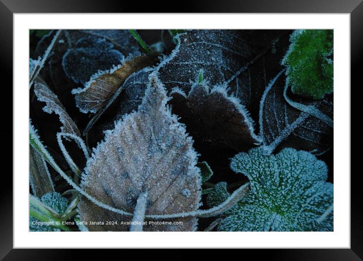 Frozen Leaf Textures in Fiastra Framed Mounted Print by Elena Sofia Janata