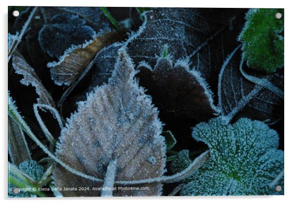 Frozen Leaf Textures in Fiastra Acrylic by Elena Sofia Janata