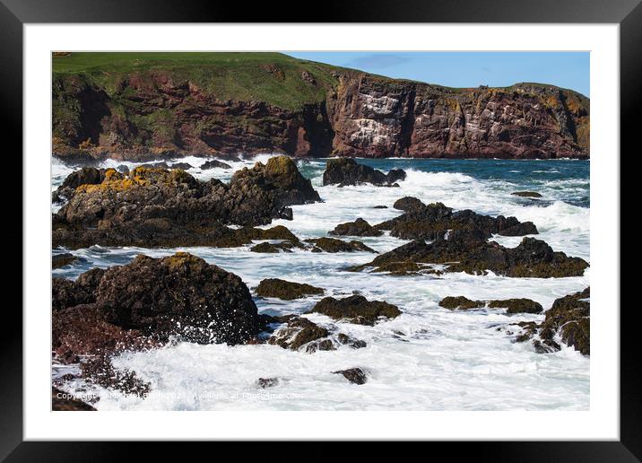 Saint Abbs Waves and Rocks Framed Mounted Print by Michael Birch